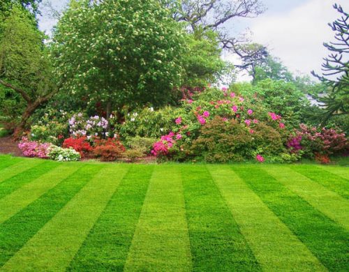 Lawn Care Kirkwood MO