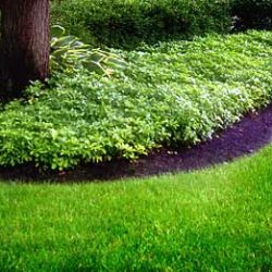 Lawn Care Des Peres MO