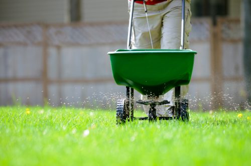 Lawn Care Ladue MO