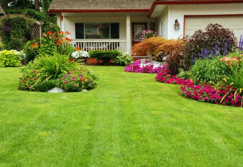 Lawn Care Weldon Springs MO