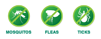 Mosquito, Flea & Tick Control