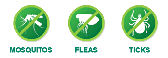 Mosquito, Flea & Tick Control