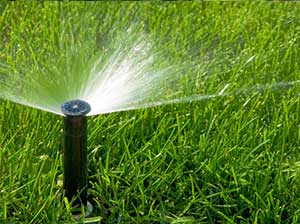 Irrigation & Sprinkler Repair in Fenton