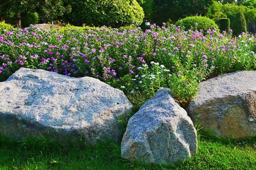 Boulder Landscape