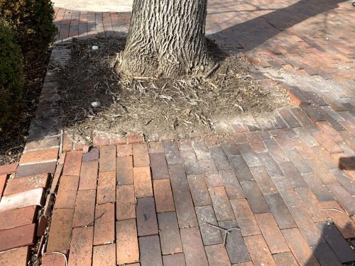Hardscaping - Brick Patio 2