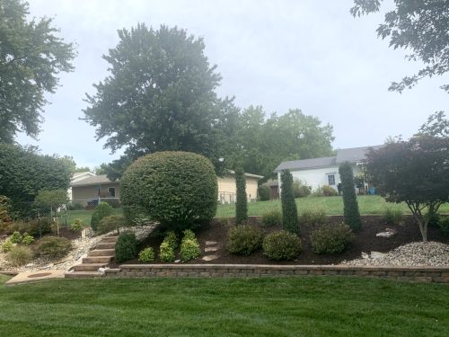 Landscaping - Back Yard 1