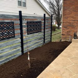 Landscaping - Back Yard 11