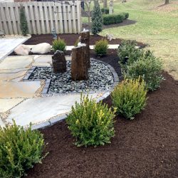 Landscaping - Back Yard 15