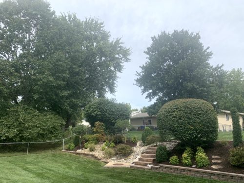 Landscaping - Back Yard 2