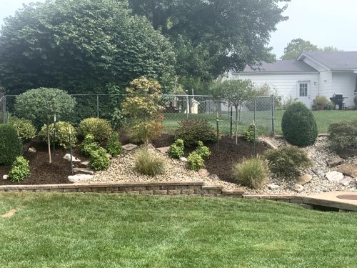 Landscaping - Back Yard 3