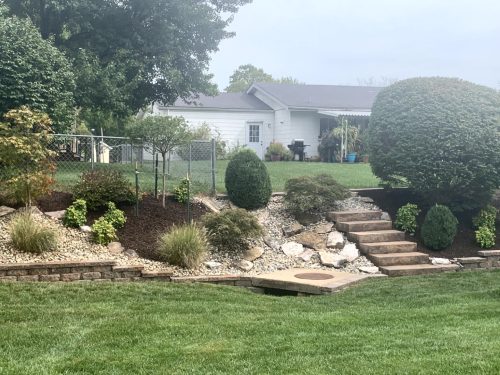 Landscaping - Back Yard 4