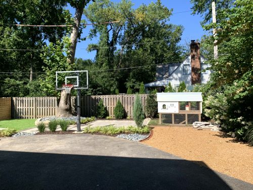 Landscaping - Back Yard 5