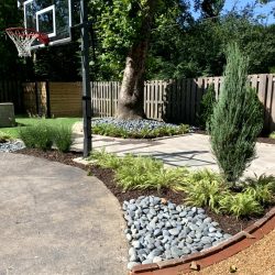 Landscaping - Back Yard 6