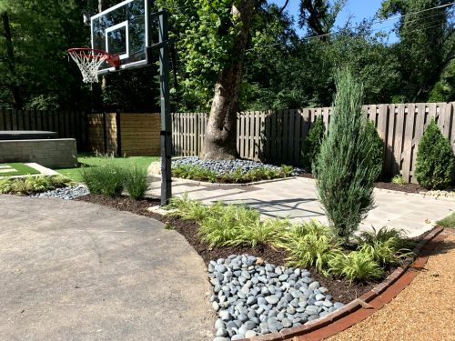 Landscaping - Back Yard 7