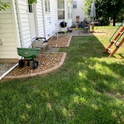 Landscaping - Backyard 1