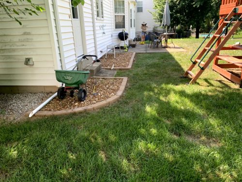 Landscaping - Backyard 1