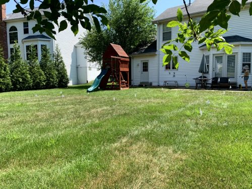 Landscaping - Backyard 2
