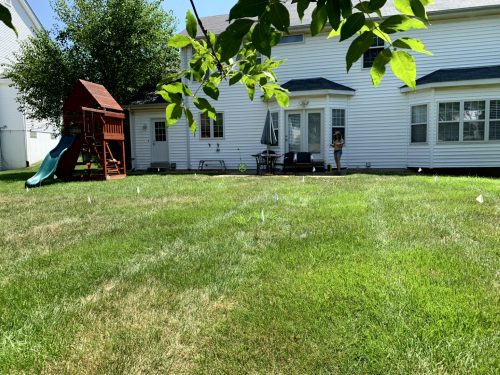 Landscaping - Backyard 3