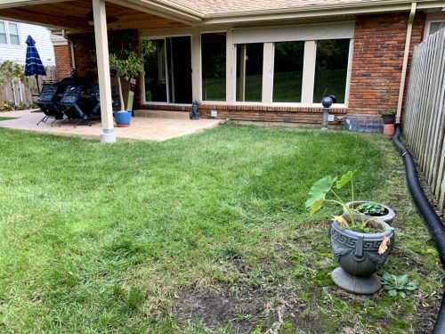Landscaping - Backyard Before 1