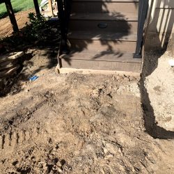 Landscaping - Backyard Before 13