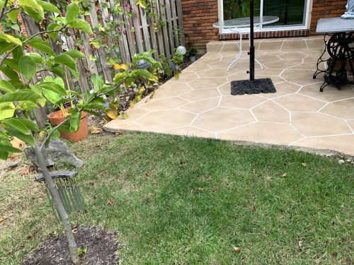 Landscaping - Backyard Before 4