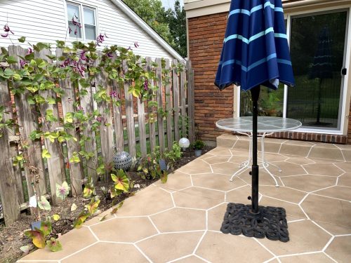 Landscaping - Backyard Before 6