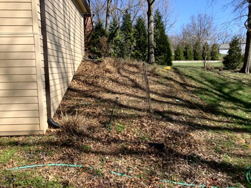 Landscaping - Before 1