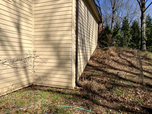 Landscaping - Before 2