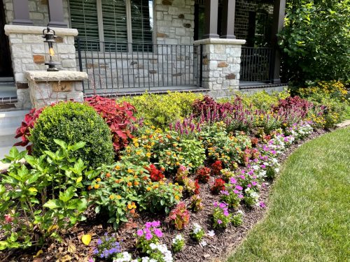 Landscaping - Front Garden 1