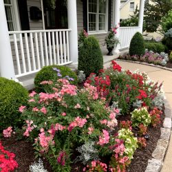 Landscaping - Front Garden 10