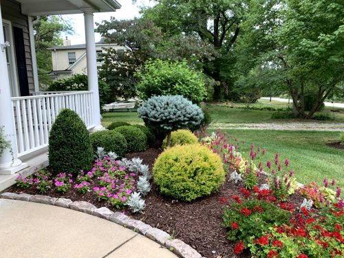 Landscaping - Front Garden 11