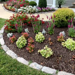 Landscaping - Front Garden 12