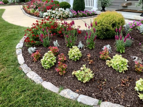 Landscaping - Front Garden 12