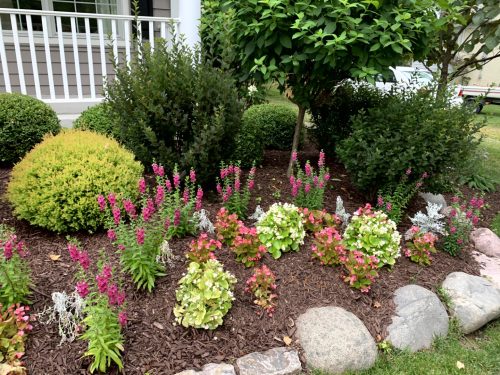 Landscaping - Front Garden 13