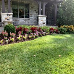 Landscaping - Front Garden 14