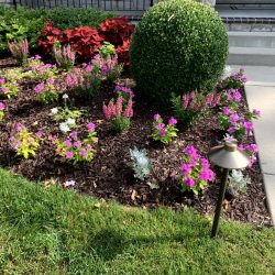 Landscaping - Front Garden 15