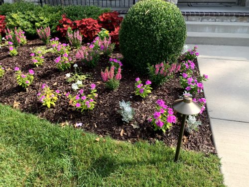 Landscaping - Front Garden 15
