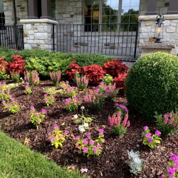 Landscaping - Front Garden 16