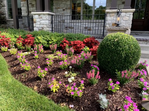Landscaping - Front Garden 16