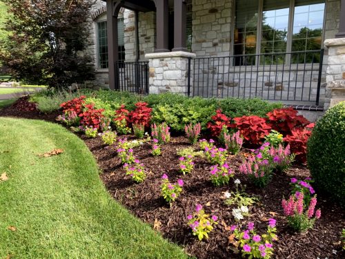 Landscaping - Front Garden 17
