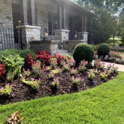 Landscaping - Front Garden 18