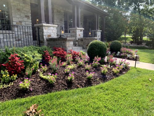 Landscaping - Front Garden 18