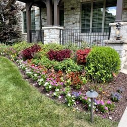 Landscaping - Front Garden 2