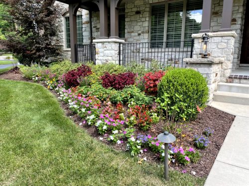 Landscaping - Front Garden 2