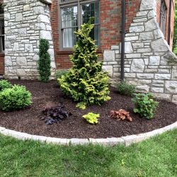 Landscaping - Front Garden 21