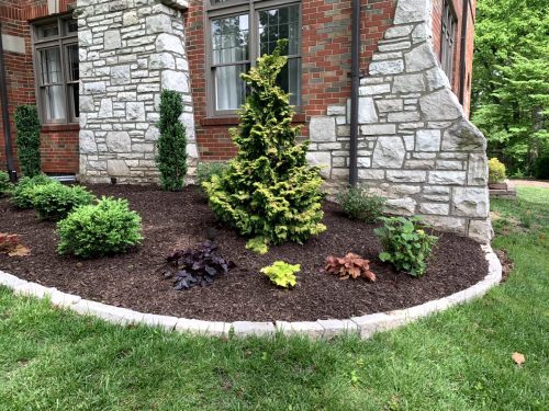 Landscaping - Front Garden 21