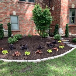 Landscaping - Front Garden 22