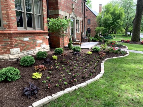 Landscaping - Front Garden 24