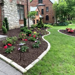 Landscaping - Front Garden 25