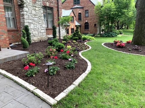 Landscaping - Front Garden 25